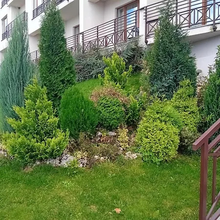 Ristic Milmari L5 Apartment