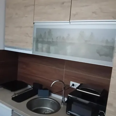 Ristic Milmari L5 Apartment Kopaonik